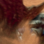 STAR_WARS_-_EPISODE_II_ATTACK_OF_THE_CLONES_1318.jpg