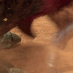 STAR_WARS_-_EPISODE_II_ATTACK_OF_THE_CLONES_1321.jpg
