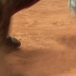 STAR_WARS_-_EPISODE_II_ATTACK_OF_THE_CLONES_1322.jpg