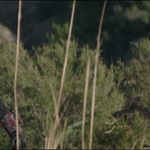 THE_MANDALORIAN_-_E2X06_THE_TRAGEDY_0680.jpg